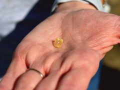 Во время прогулки по природному парку туристка нашла алмаз