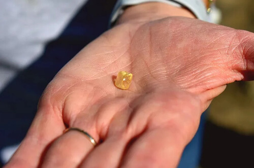 Во время прогулки по природному парку туристка нашла алмаз
