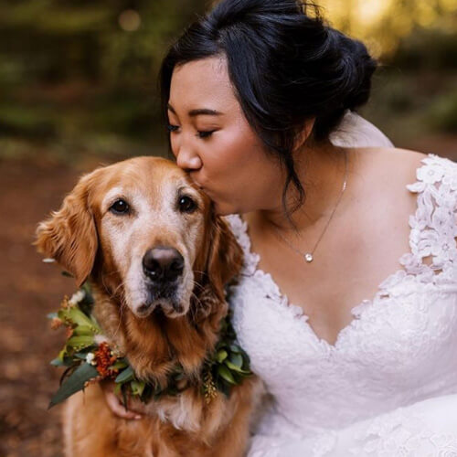 Невеста начала свадебную фотосессию не с женихом, а с любимым псом