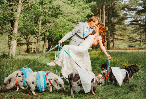 Владельцы приюта для животных поженились, не забыв пригласить на свадьбу своих подопечных