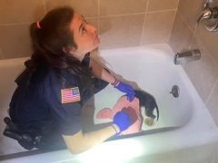 Лапка чихуахуа застряла в сливе ванной, но собаке вовремя помогли