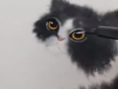 Рисовая бумага оказалась идеальной для рисования кошек