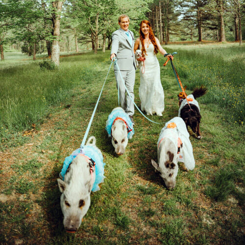 Владельцы приюта для животных поженились, не забыв пригласить на свадьбу своих подопечных
