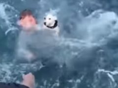 Друзья не только совершили морскую прогулку, но и спасли собаку