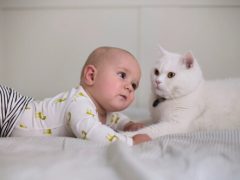 Будущая мама заявила, что выгонит ребёнка, если у него будет аллергия на кошек