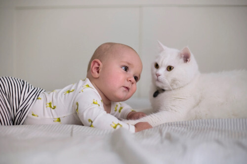 Будущая мама заявила, что выгонит ребёнка, если у него будет аллергия на кошек
