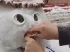 Стоматолог не только слепила снеговика, но и подарила ему зубы