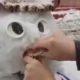 Стоматолог не только слепила снеговика, но и подарила ему зубы
