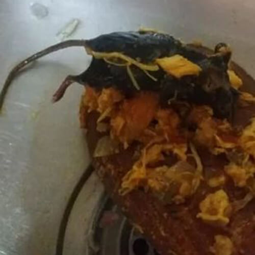 Мёртвая мышь в томатном соусе испортила настроение любительнице лазаньи