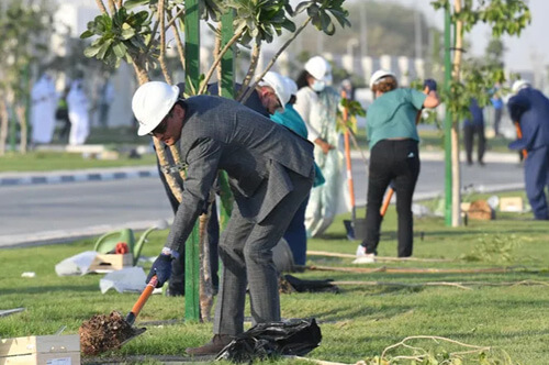 Посадив одновременно миллион деревьев, энтузиасты установили мировой рекорд
