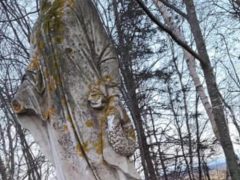 Украденная голова кладбищенской статуи вернулась спустя несколько десятилетий