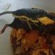 Мёртвая мышь в томатном соусе испортила настроение любительнице лазаньи