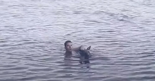 Кенгуру, оказавшийся в воде, получил помощь от случайного прохожего