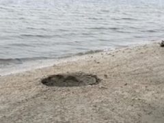 После загадочного взрыва на побережье остался кратер