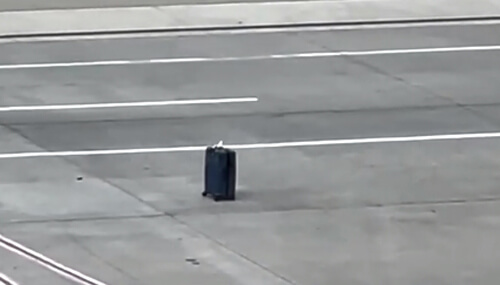 Укатившийся чемодан на колёсиках был пойман сотрудниками аэропорта