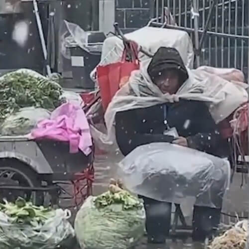 Покупательница приобрела все овощи у уличного торговца, чтобы он не замёрз