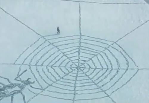 Чтобы не скучать дома, мужчина вытоптал в снегу картину с пауком в паутине
