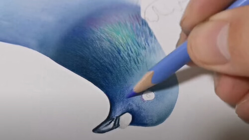 Голубь, нарисованный художником, кажется вылетающим из листа бумаги