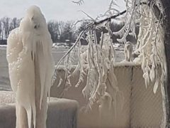 Домовладелец обнаружил во дворе две ледяные скульптуры, похожие на смерть