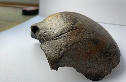 Расследование по поводу найденного в реке черепа показало, что он очень древний