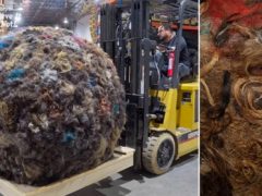 Парикмахер сделал огромный шар из волос, ставший рекордным