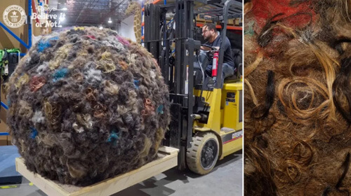 Парикмахер сделал огромный шар из волос, ставший рекордным