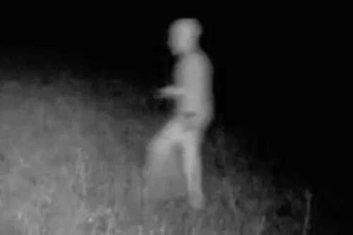 Охотник сфотографировал инопланетянина, гулявшего без одежды