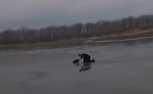 Полицейский не побоялся пройтись по тонкому льду, чтобы спасти собаку