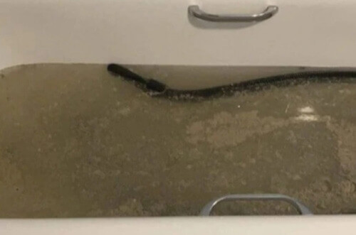 Хозяйка почистила шланг пылесоса и ужаснулась тому, насколько он грязный