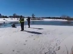 Попытавшись спасти своих собак из замёрзшего озера, хозяйка и сама провалилась в воду