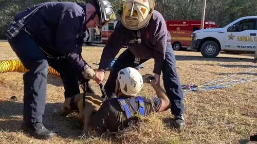 Пожарные вытащили собаку, провалившуюся в яму