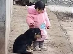 Девочка оградила любимую собаку от раздражающих громких звуков