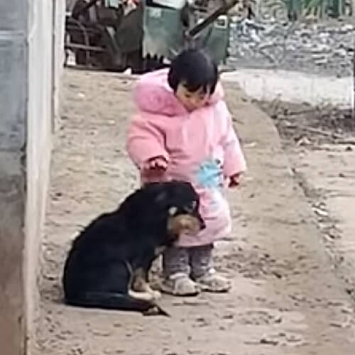 Девочка оградила любимую собаку от раздражающих громких звуков