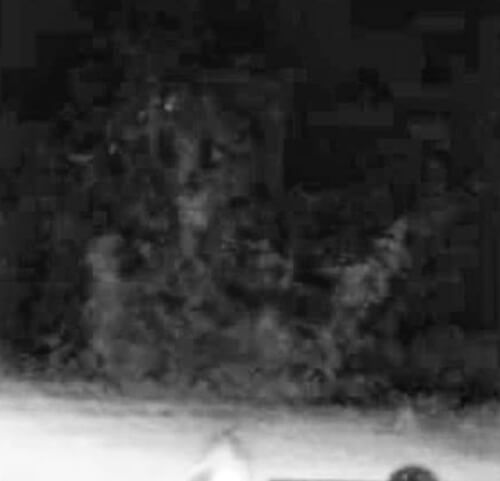 Охотница за привидениями утверждает, что сфотографировала призрак погибшей девушки