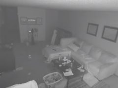 Установив видеокамеру, чтобы следить за кошками, супруги запечатлели привидение
