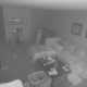 Установив видеокамеру, чтобы следить за кошками, супруги запечатлели привидение
