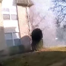 Полицейские поймали мальчика, которого отец выкинул из окна загоревшегося дома