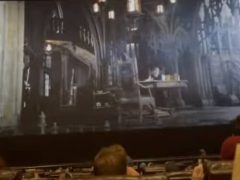 Во время показа фильма про Бэтмена в кинозале появилась живая летучая мышь