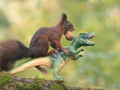Фотограф подружил белок с игрушечными динозаврами