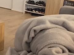 Пёс, которого позвали гулять, устроил комичное шоу под одеялом