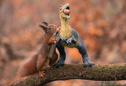 Фотограф подружил белок с игрушечными динозаврами