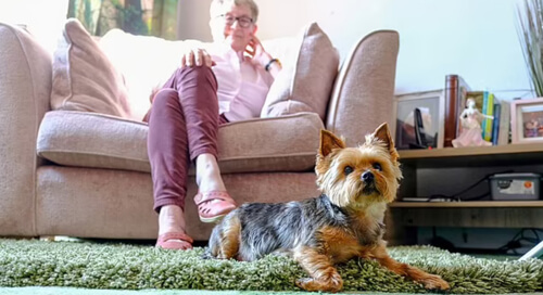 Собачка предупредила хозяйку о раке молочной железы и спасла ей жизнь