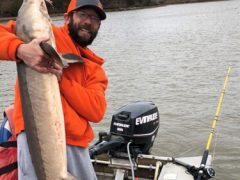 Рыбак, поймавший крупного озёрного осетра, выпустил добычу обратно в озеро