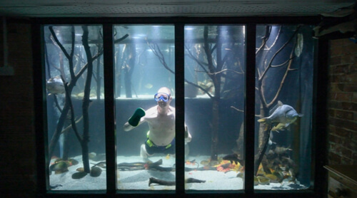 Домовладелец соорудил огромный аквариум, в котором обитают 400 рыб