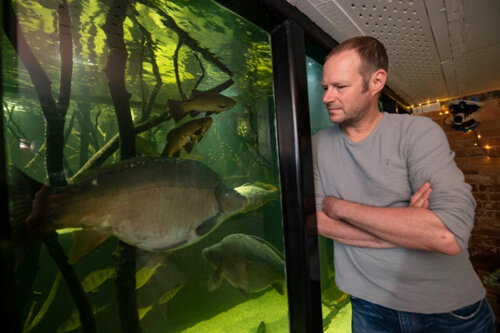 Домовладелец соорудил огромный аквариум, в котором обитают 400 рыб