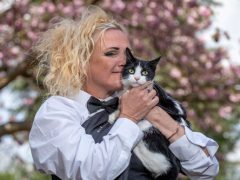 Хозяйка вышла замуж за любимую кошку, чтобы домовладельцы не выселили животное