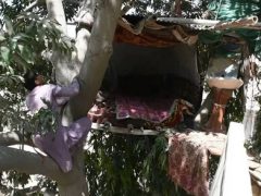 Не имея возможности обзавестись жильём, пакистанец поселился в домике на дереве