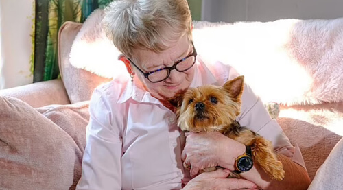 Собачка предупредила хозяйку о раке молочной железы и спасла ей жизнь
