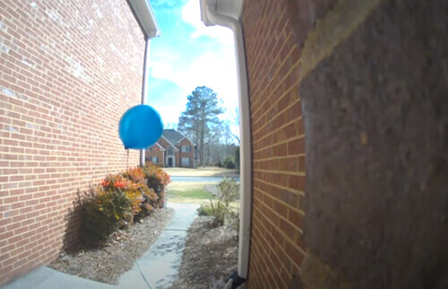 Домовладельцы удивились, узнав, что к ним с визитом явился воздушный шарик