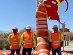 Рабочие создали скульптуру змеи из дорожных конусов